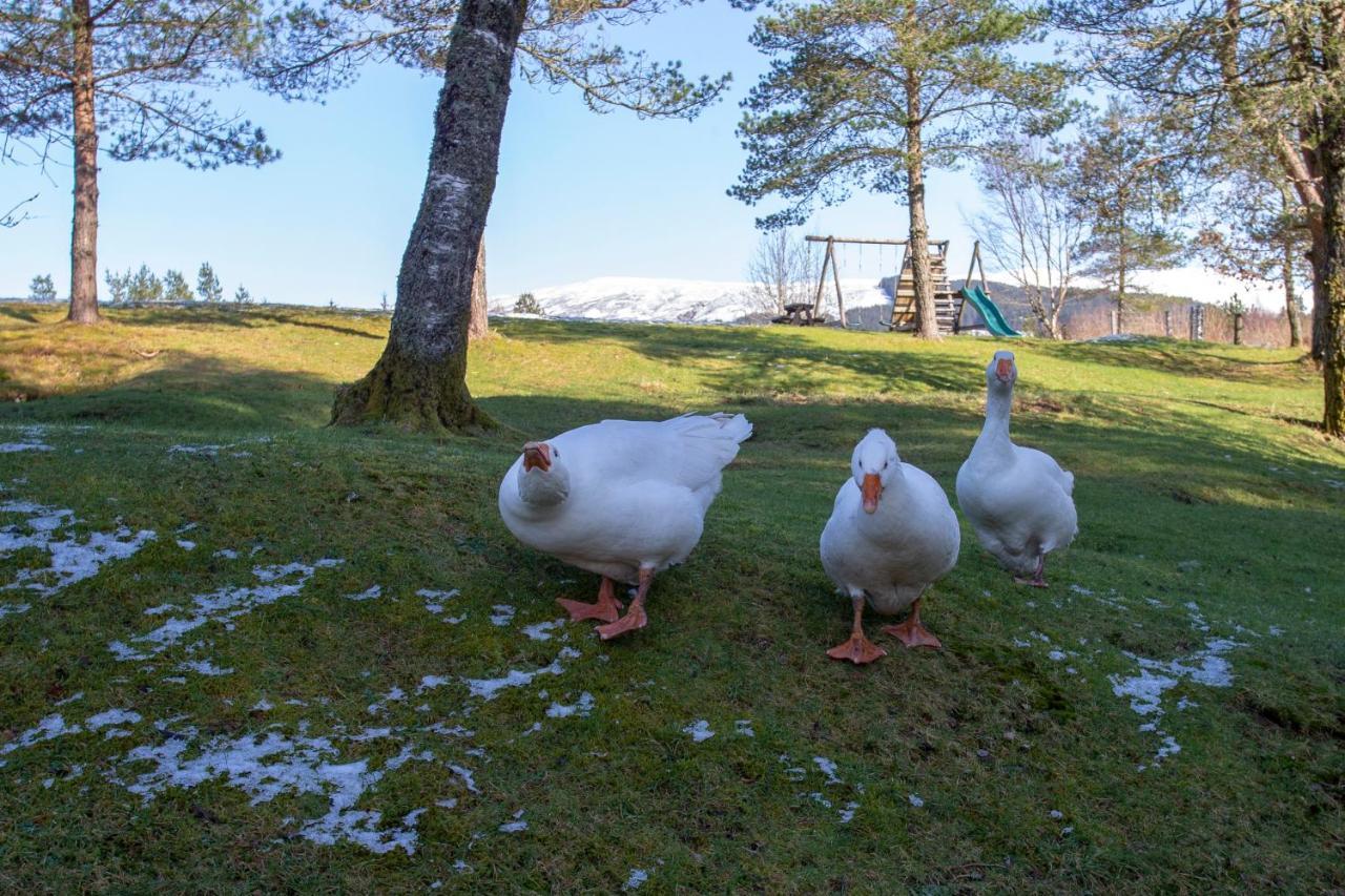 Hotel Old Pines And Restaurant Spean Bridge